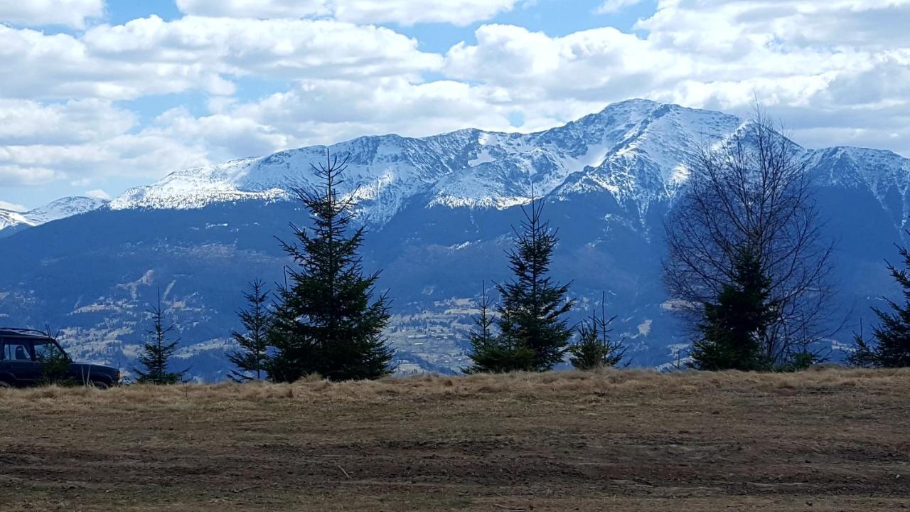 Cabana Rustic Borşa Buitenkant foto