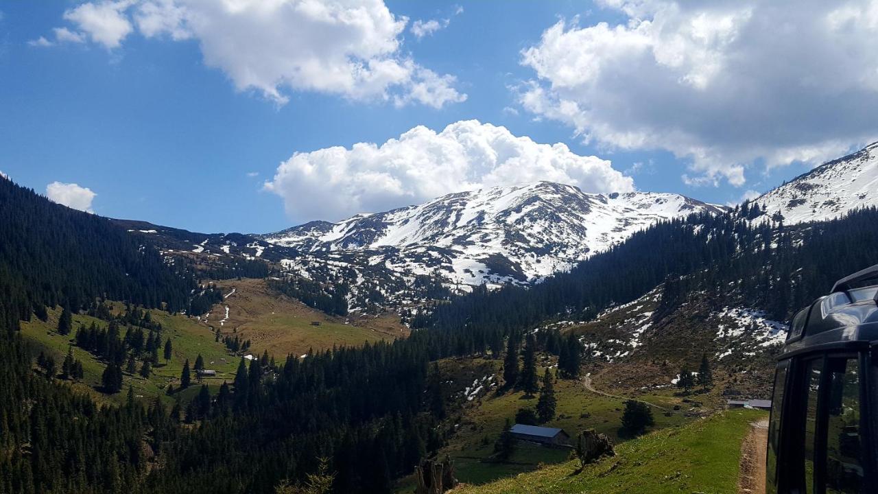 Cabana Rustic Borşa Buitenkant foto