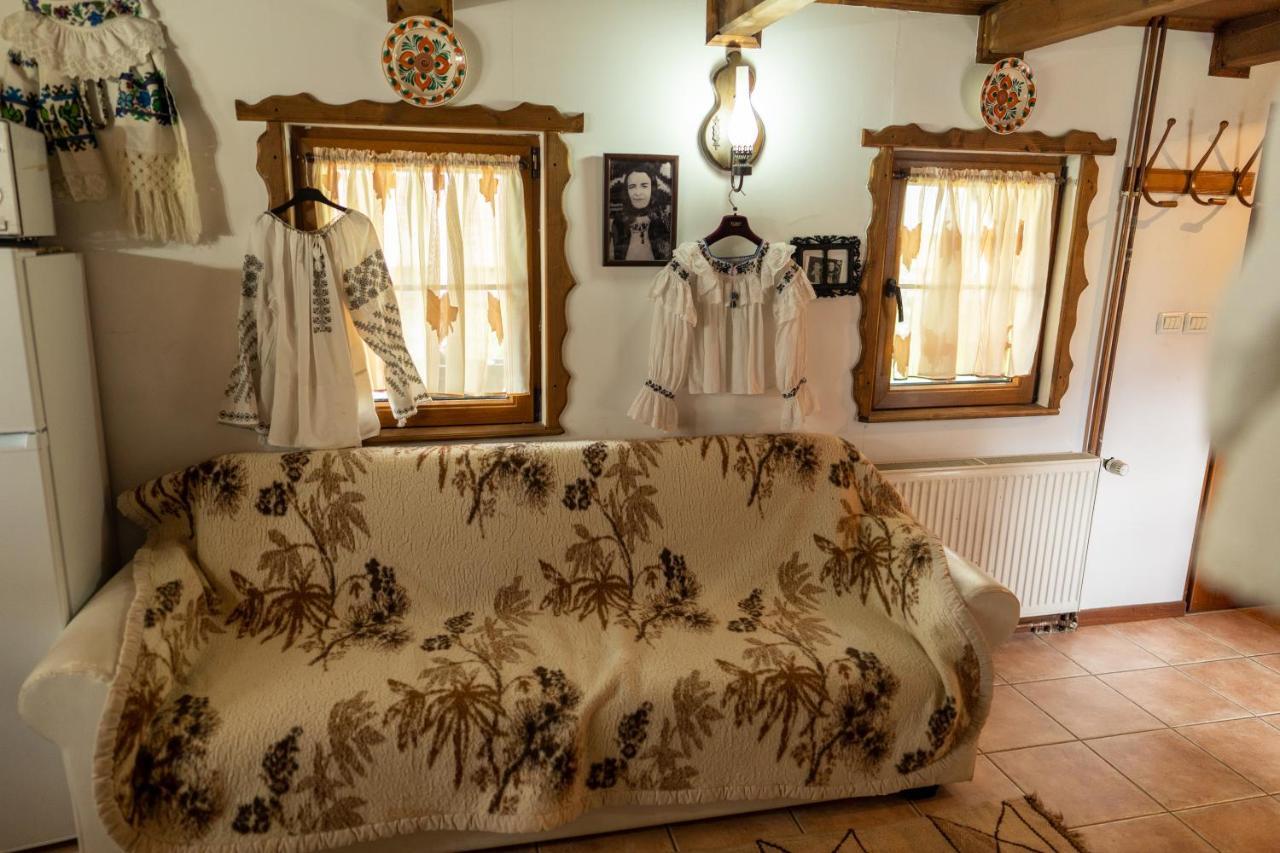 Cabana Rustic Borşa Buitenkant foto
