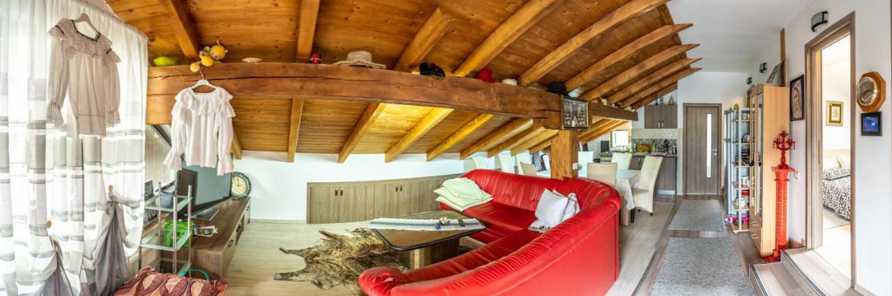 Cabana Rustic Borşa Buitenkant foto