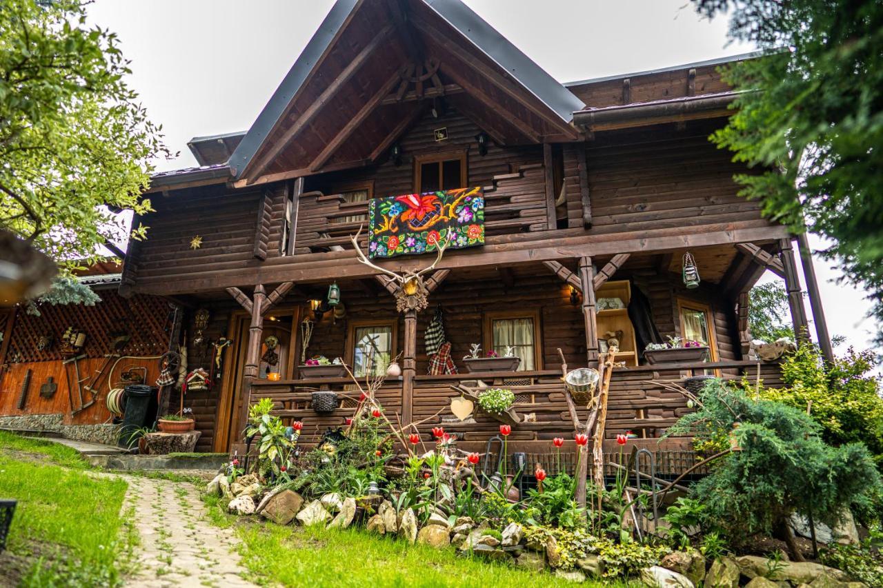Cabana Rustic Borşa Buitenkant foto