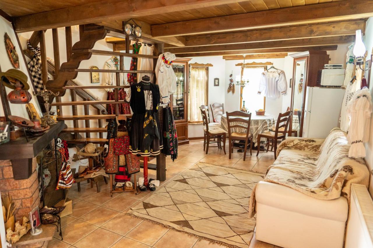 Cabana Rustic Borşa Buitenkant foto