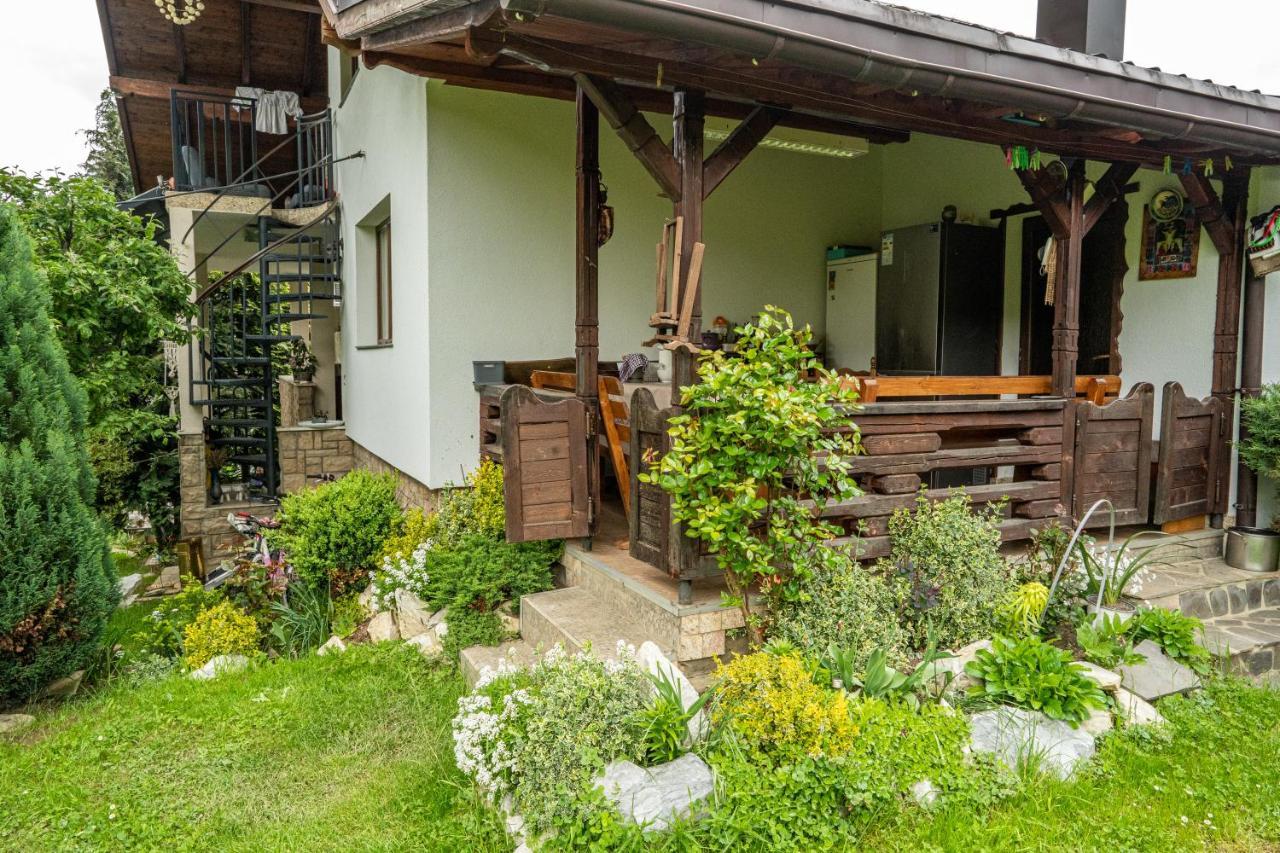 Cabana Rustic Borşa Buitenkant foto