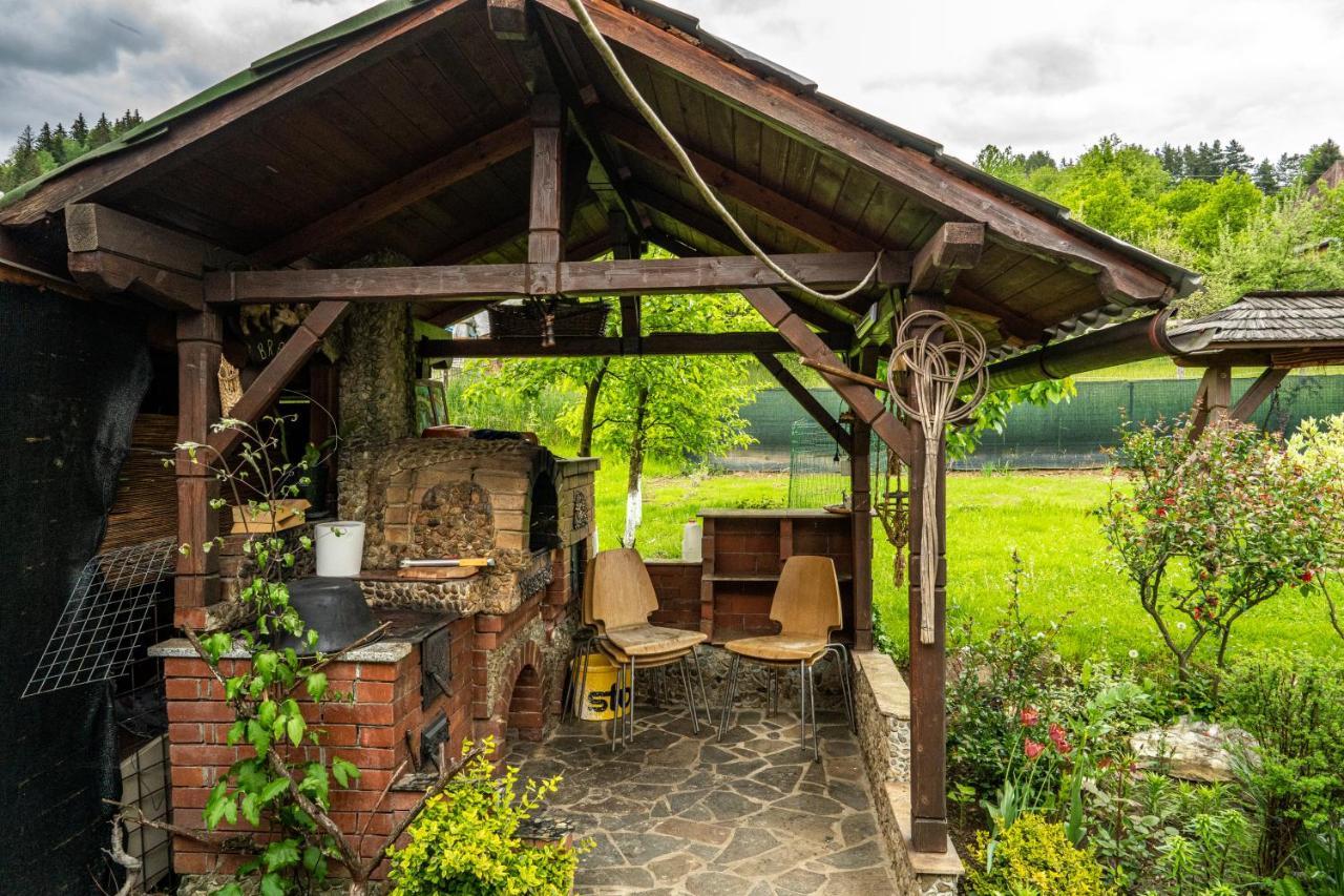Cabana Rustic Borşa Buitenkant foto