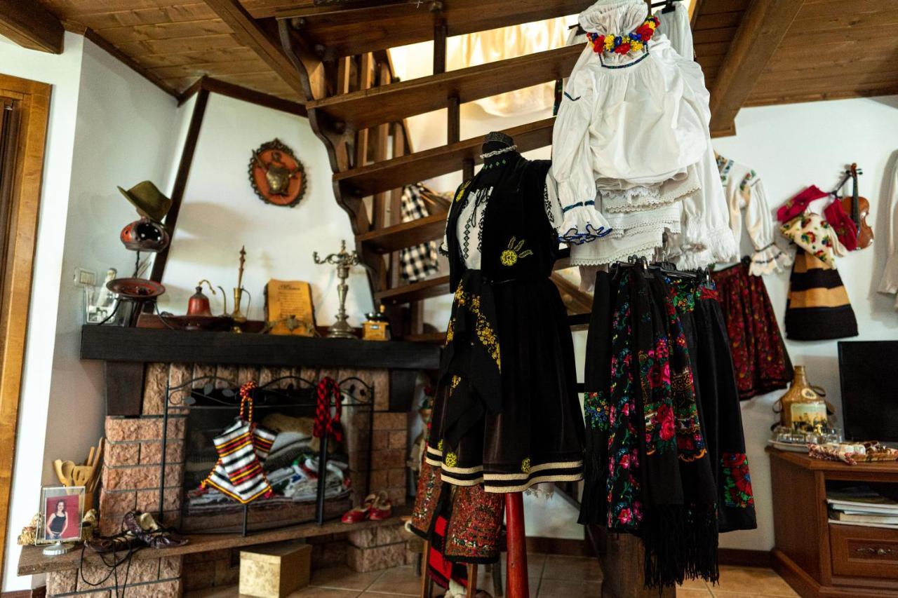 Cabana Rustic Borşa Buitenkant foto