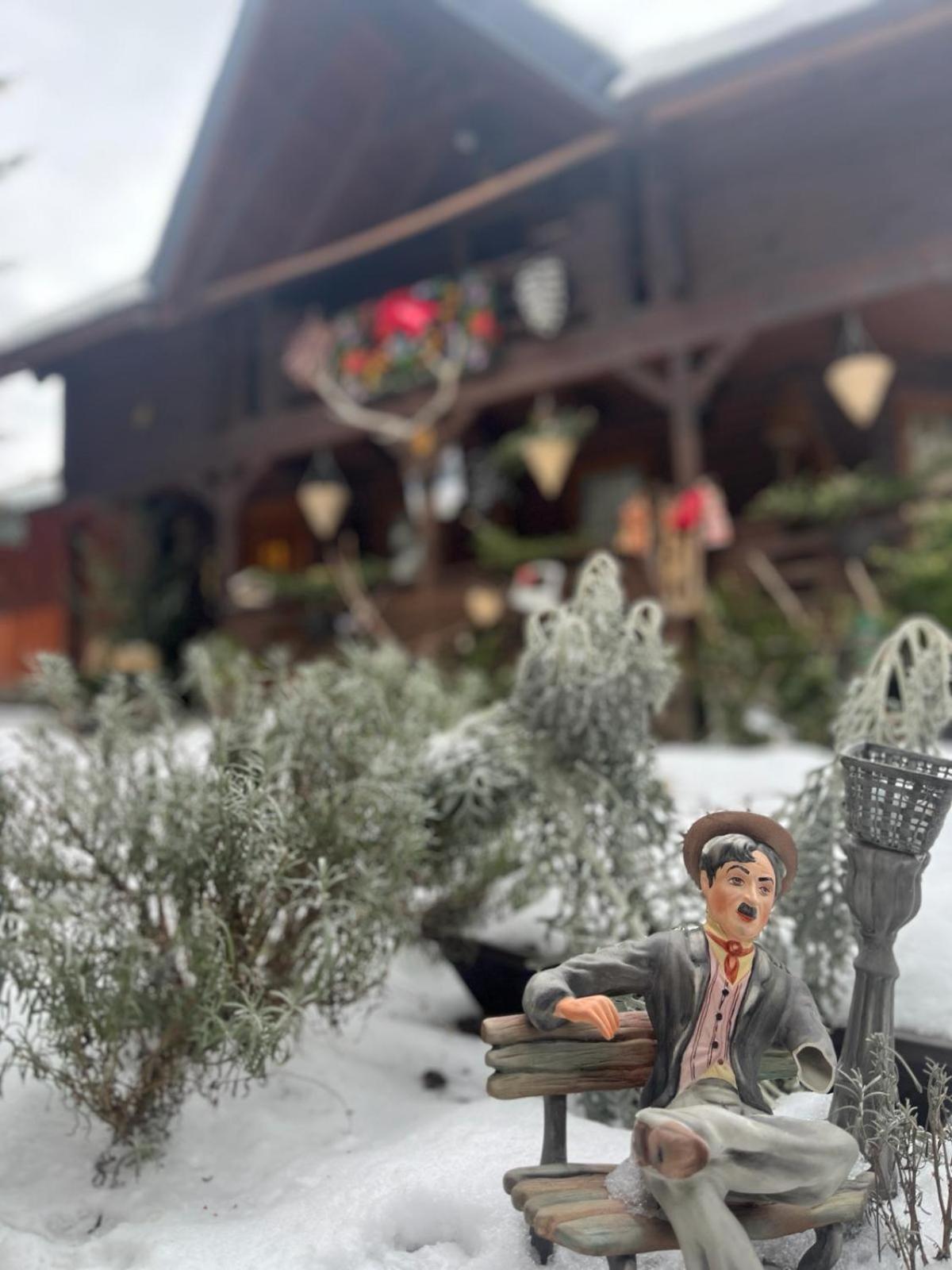 Cabana Rustic Borşa Buitenkant foto