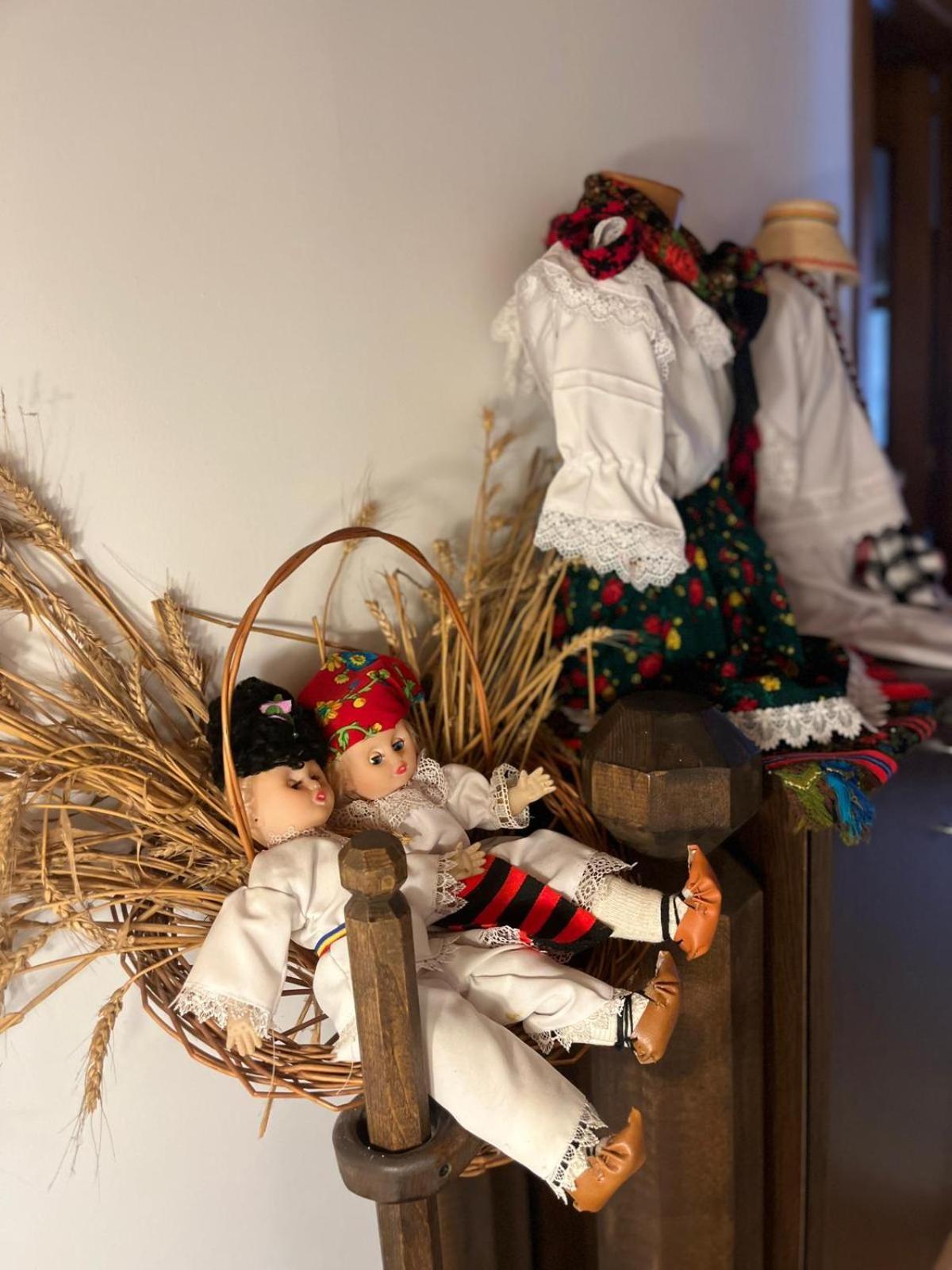 Cabana Rustic Borşa Kamer foto