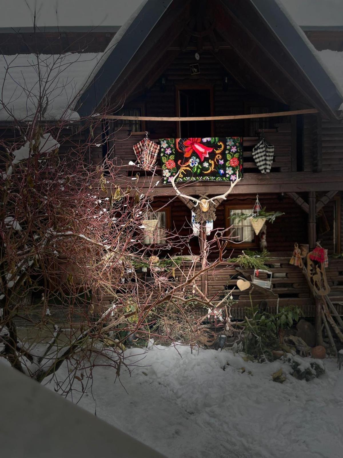 Cabana Rustic Borşa Kamer foto