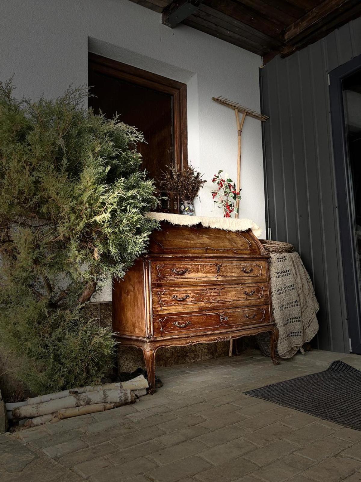 Cabana Rustic Borşa Kamer foto