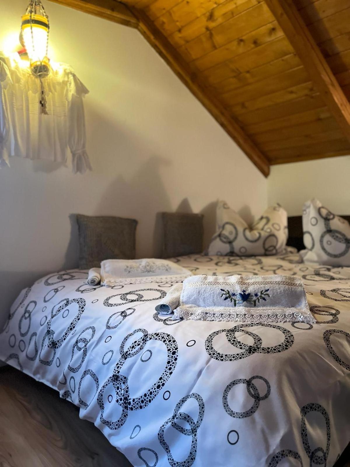 Cabana Rustic Borşa Kamer foto