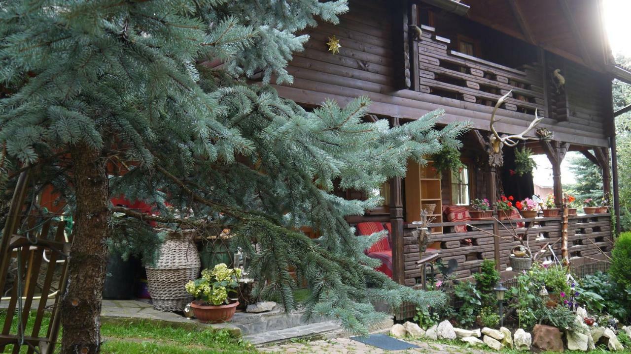 Cabana Rustic Borşa Buitenkant foto