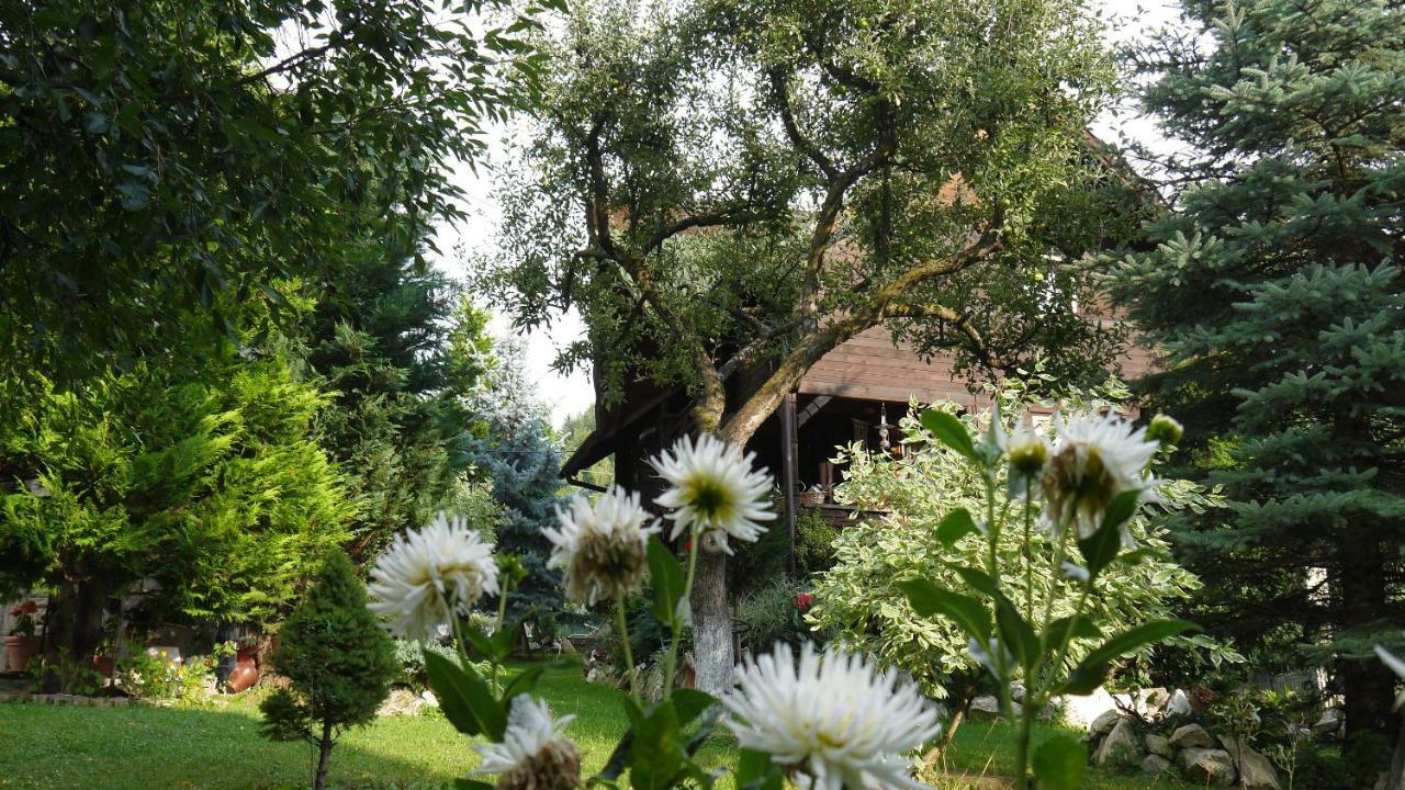 Cabana Rustic Borşa Buitenkant foto