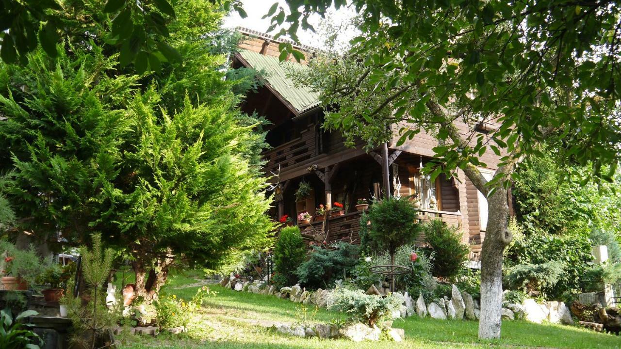 Cabana Rustic Borşa Buitenkant foto