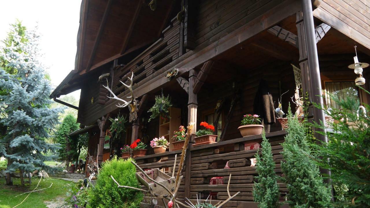 Cabana Rustic Borşa Buitenkant foto