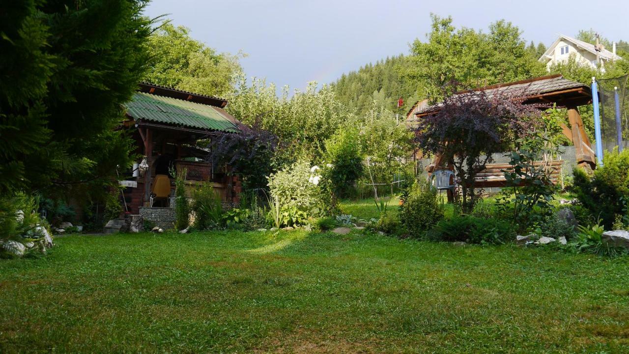 Cabana Rustic Borşa Buitenkant foto