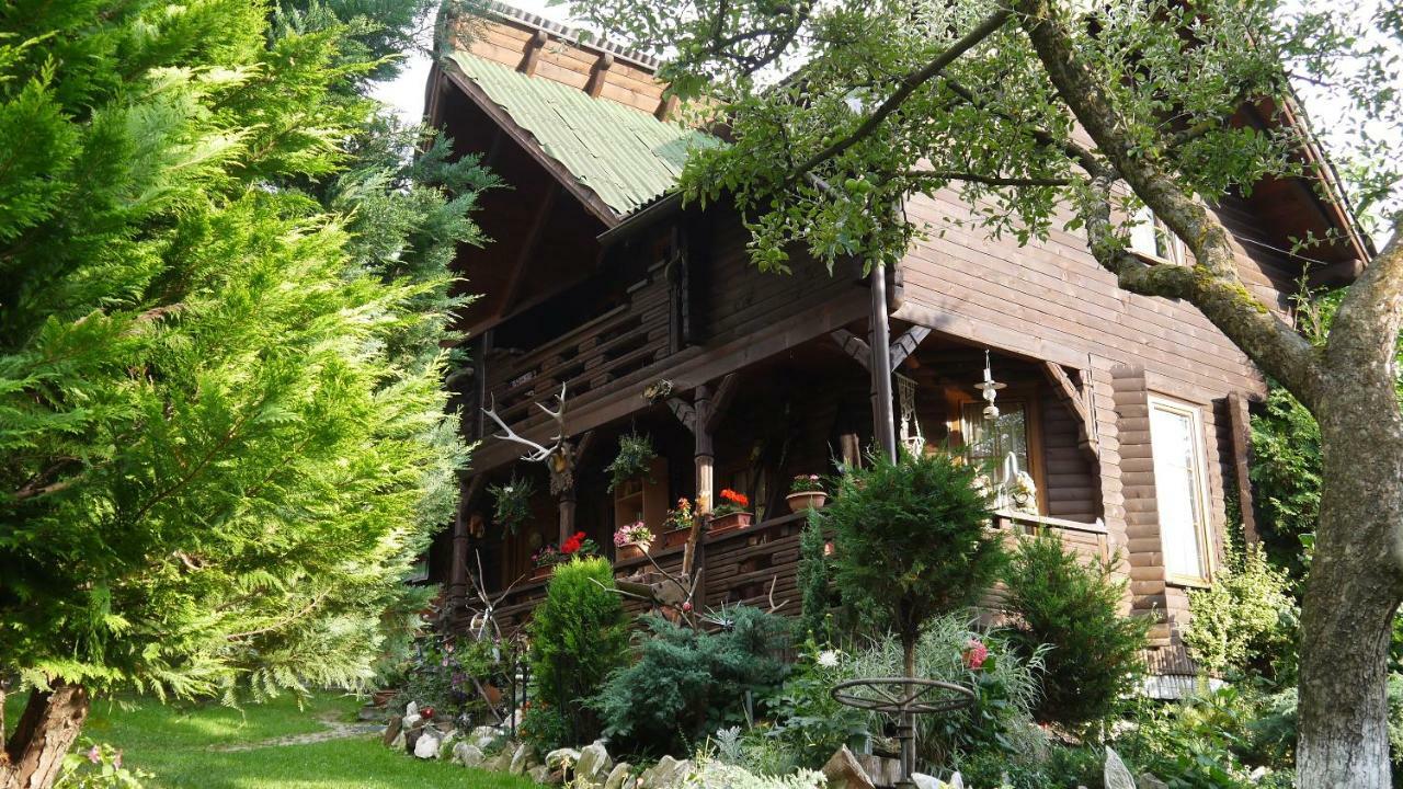 Cabana Rustic Borşa Buitenkant foto
