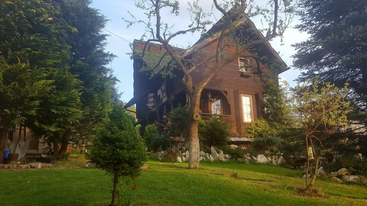 Cabana Rustic Borşa Buitenkant foto